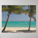 Recherche de planche à voile posters Tropical