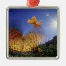 Recherche de ailes ornements Faune