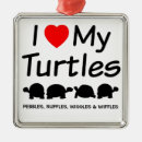 Recherche de amour de tortue ornements Animal