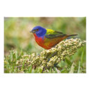 Zoek naar kleed posters Natuur