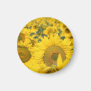 Zoek naar zonnebloemen magneten Floreel