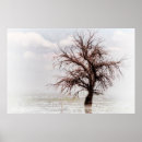Recherche de marécage posters Arbre