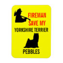 Recherche de terrier yorkshire magnets Dog