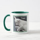 Recherche de paisible tasses Vert