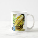 Recherche de dragon barbu tasses Dragons