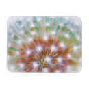 Recherche de graines magnets Pissenlit