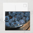 Recherche de figuier cartes postales Fruit