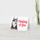 Zoek naar husky kaarten Puppy