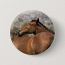 Zoek naar paarden buttons Mustang