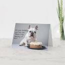 Zoek naar frenchie kaarten Dier