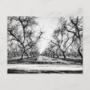 Recherche de arbre éffrayant Arbres
