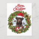 Zoek naar chocolade labrador retriever briefkaarten Huisdier