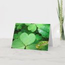 Recherche de le saint patrick photographie Nature