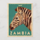 Recherche de zebra cartes postales Safari