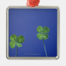 Recherche de trèfle ornements Saint patrick