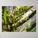 Recherche de nouveau début posters Vert