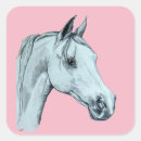Recherche de cheval arabe autocollants Équestre
