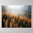 Zoek naar gele boom posters Najaar