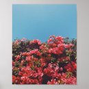 Zoek naar vintage flower posters Bloem