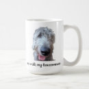 Recherche de levriers tasses Pour tous