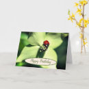 Recherche de ladybug anniversaire cartes Floral