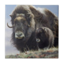 Zoek naar kalf tegels Danita delimont