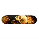 Recherche de flamber skateboards Os