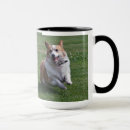 Zoek naar pembroke welsh corgi mokken Dieren