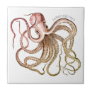 Zoek naar octopus tegels Nautisch