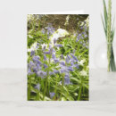 Recherche de 2016 vœux cartes Fleurs