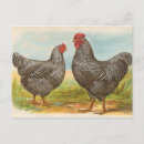 Recherche de roche de plymouth cartes postales Vintage