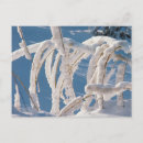 Recherche de neige couverte cartes postales Paysage