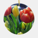 Zoek naar tulp ornamenten Veer