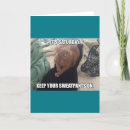 Zoek naar kuiken kaarten Grappig