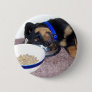 Zoek naar afbeeldingen honden buttons Pups