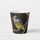 Zoek naar originele mokken Vogel