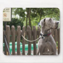 Zoek naar pug honden muismatten Dier