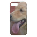 Recherche de chien de golden retriever iphone coques Canin