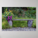Recherche de seau photographie Nature