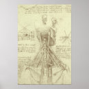 Recherche de anatomie humaine posters Squelette