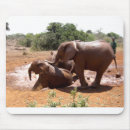 Recherche de éléphant bébé tapis souris Animaux