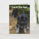 Zoek naar rug kaarten Puppy