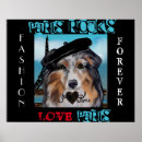 Recherche de bergers australiens posters Chiens aussie