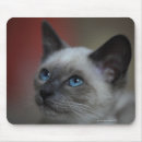 Recherche de siamois tapis souris Horizontal