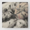 Zoek naar zwart witte natuur klokken Fotografie