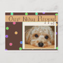 Recherche de timbre poste animal Chiot