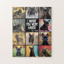 Recherche de canin puzzles Amoureux des chiens