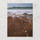 Zoek naar surfen briefkaarten Venetië