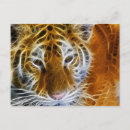 Recherche de tête tigre cartes postales Portrait