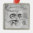 Recherche de singe ornements Dessin